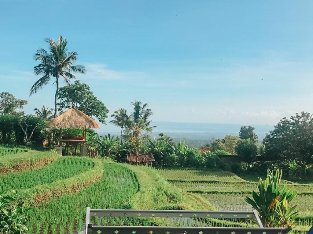 Pondok Apsari 2 Singaraja Esterno foto